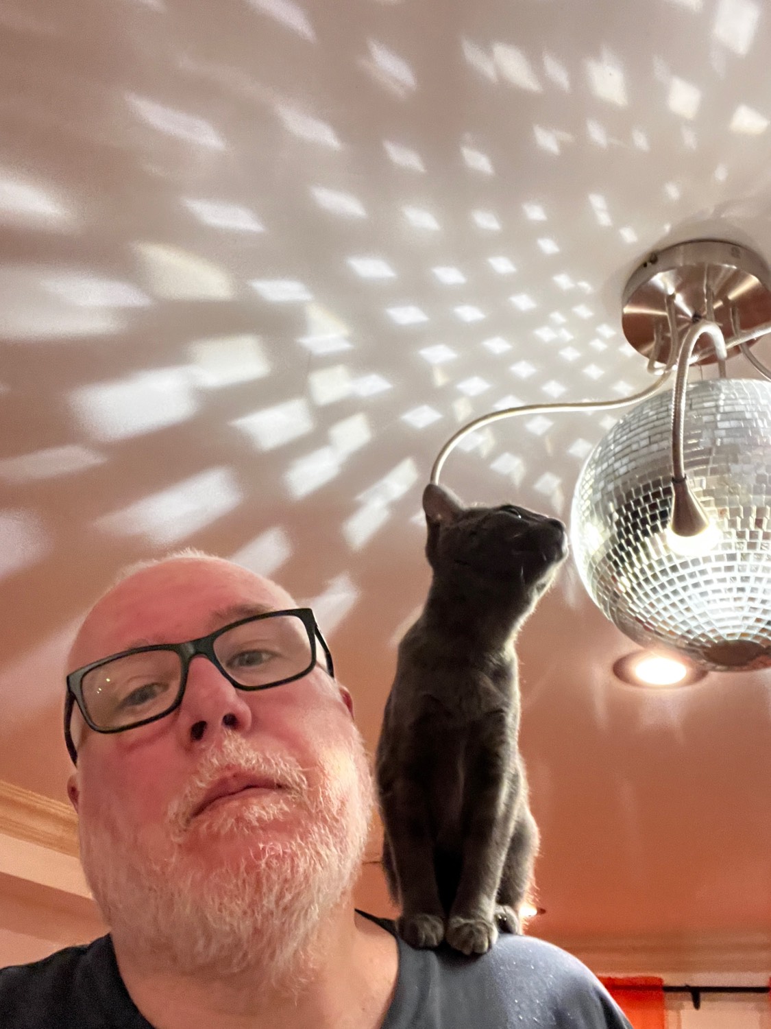 Quiet Disco Party domestic light work with mirrored disco ball